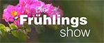 ZDF Frühlingsshow