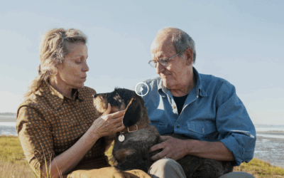 Elisabeth Strout: Was im Leben wirklich zählt